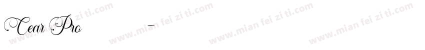 Cear Pro 普通西方字体转换